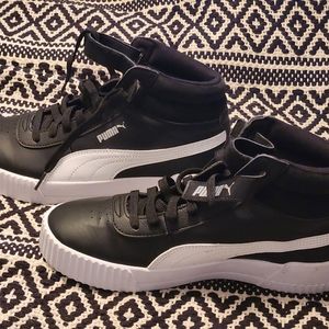 Black and White Puma